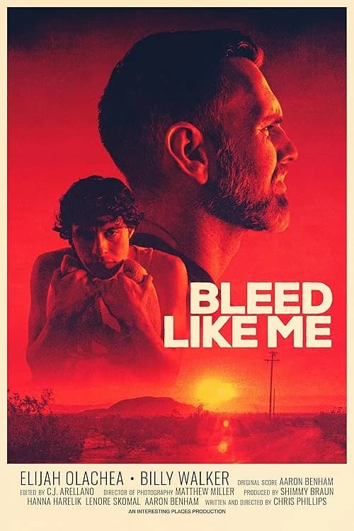 Bleed Like Me film posteri